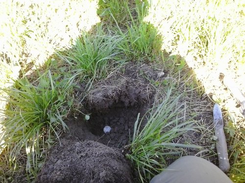 2012-08-28 10.48.25.jpg