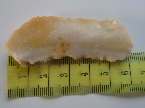 2016-04-13 11.47.38.jpg