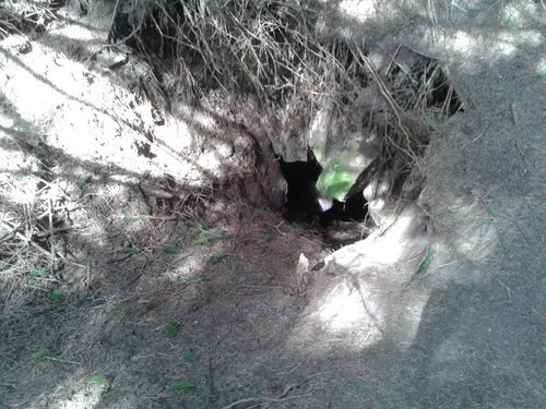 20140401_135348.jpg