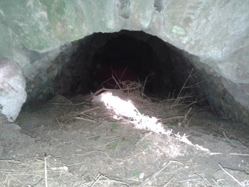 20140401_135621.jpg