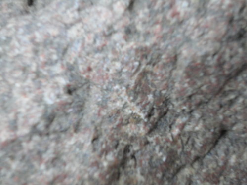 DSC02836.JPG