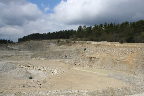 fossiliensuche0.jpg