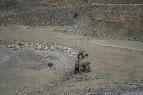 fossiliensuche1.jpg