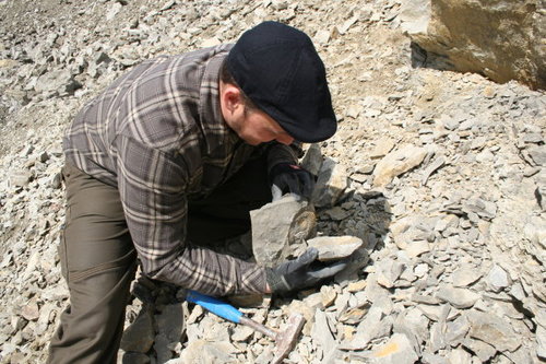 fossiliensuche3.jpg