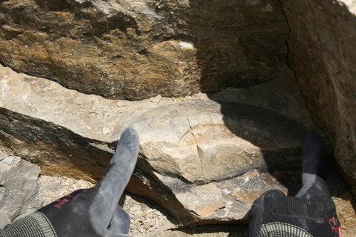 fossiliensuche5.jpg