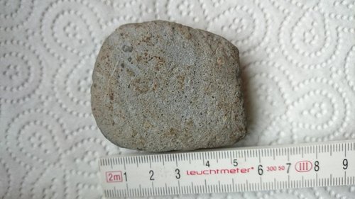 DSC_0181.JPG