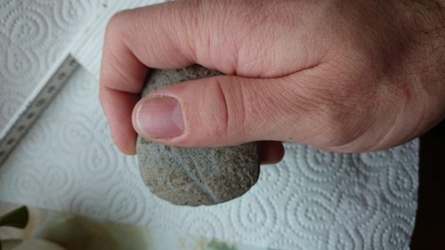 DSC_0188.JPG