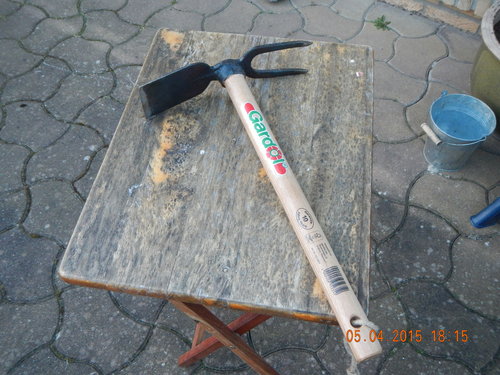 DSCN2291.JPG