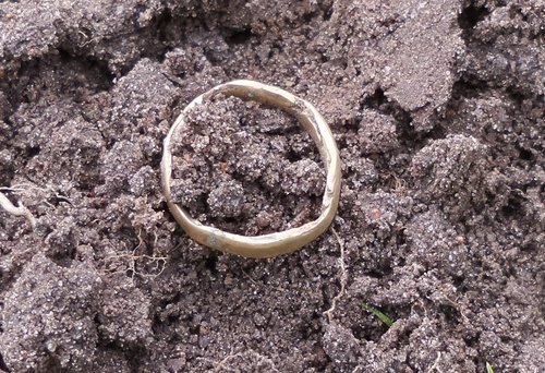 Ring5.jpg