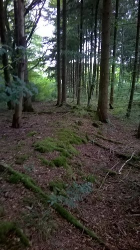 WP_20150926_15_48_47_Pro.jpg
