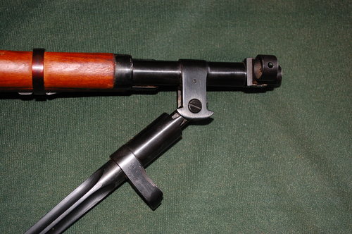 Mosin Nagant.JPG