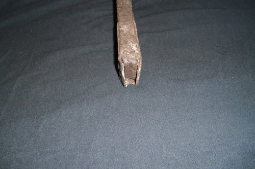 CIMG2381.JPG