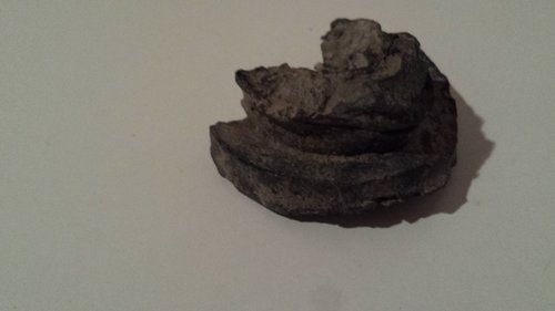 20160215_214344.jpg