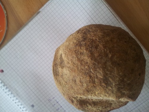 20131009_112634.jpg