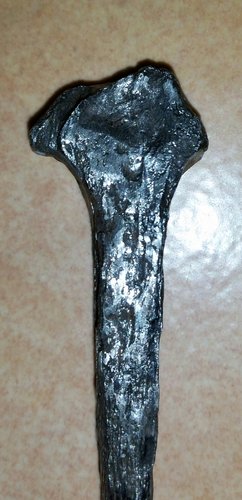 2016-03-20 19.52.42.jpg