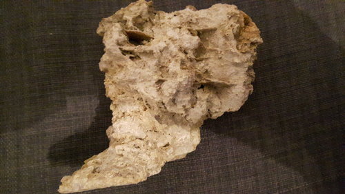 20160402_215632.jpg