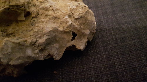 20160402_215843.jpg