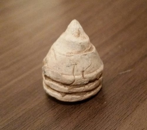 2016-04-05 19.36.34.jpg