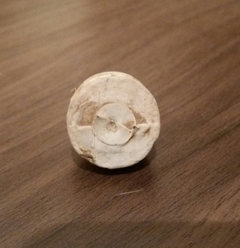 2016-04-05 19.35.49.jpg