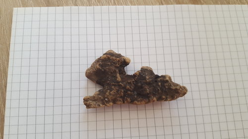 2016-05-08 19.25.15.jpg