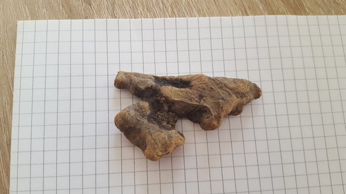 2016-05-08 19.25.24.jpg