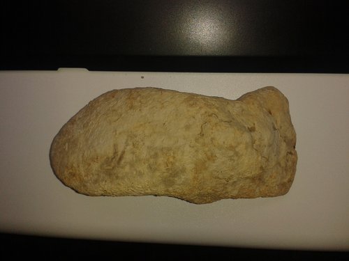 20131028_100430.jpg