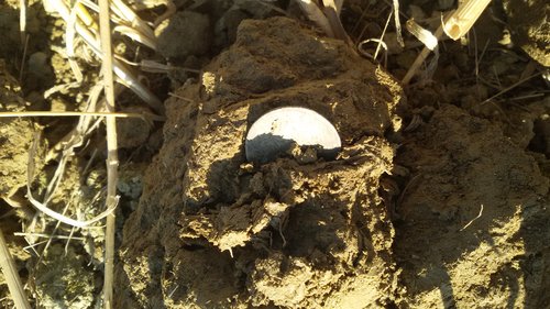 äääääääääääääää 068.jpg