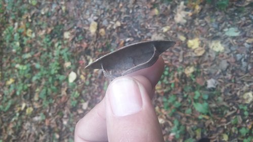 20161005_170141.jpg