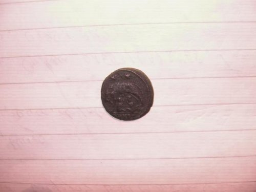 2h suche im wald 015.JPG