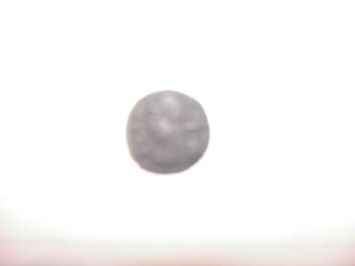 2h suche im wald 013.JPG