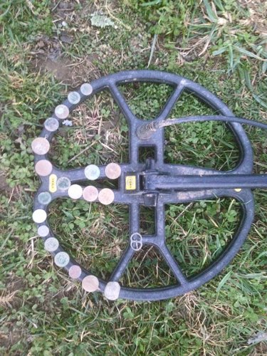 Hans glück mit Euoro aCE 1 siehe Facebook.jpg