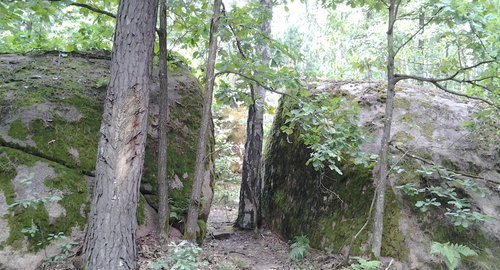 20160729_142342[1].jpg