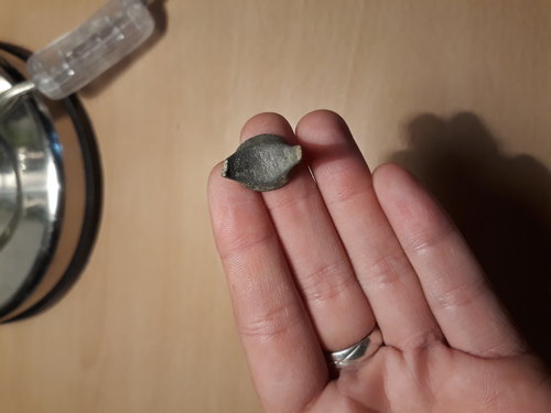 20180807_185209.jpg