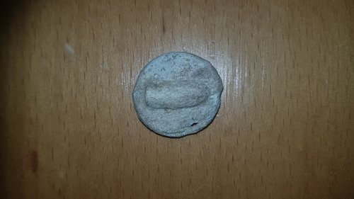 20181110_152403.jpg