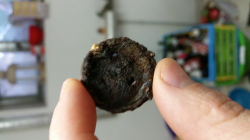 20190929_144711[1].jpg