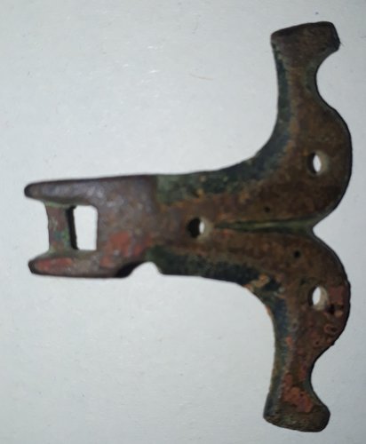20191027_065325.jpg