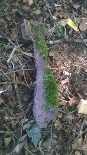 IMG-20180916-WA0015.jpg