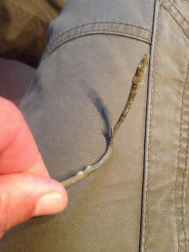 Römische Bronze Haarnadel die 2te (2).jpg
