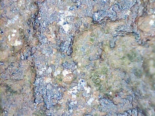 Photomizer Cam 19.10.2012 19-09-04.jpg