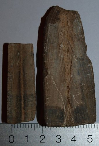 Belemniten01.jpg (78.6 KiB) 1814-mal betrachtet Belemniten01.jpg