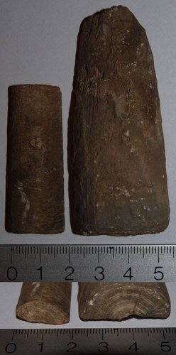 Belemniten02.jpg (85.33 KiB) 1814-mal betrachtet Belemniten02.jpg