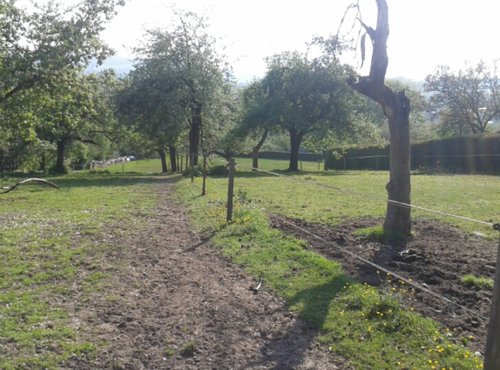 2014-04-28 17.22.34.jpg