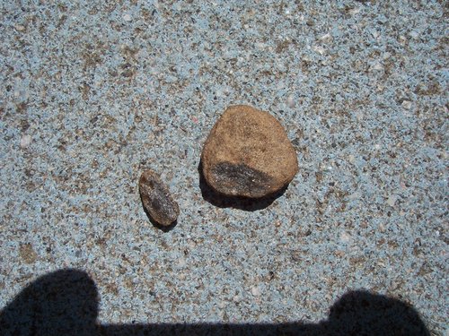 100_9951.JPG