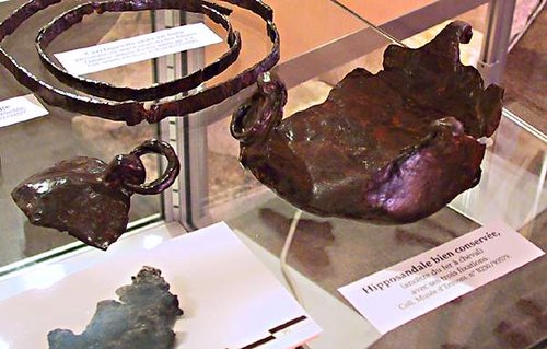 Hipposandal-ermont.jpg (36.79 KiB) 1515-mal betrachtet Hipposandal-ermont.jpg