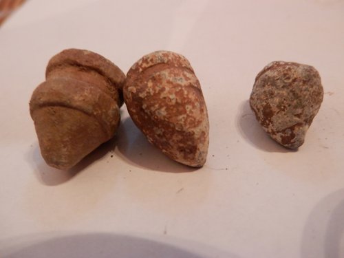 P7290042 (1280x960).jpg