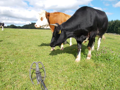 ATX 27.08.2014 034.JPG