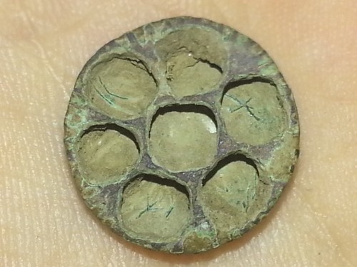 20130426_195957.jpg
